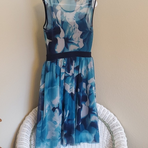 db established Blue Floral Dress - Picture 2 of 4